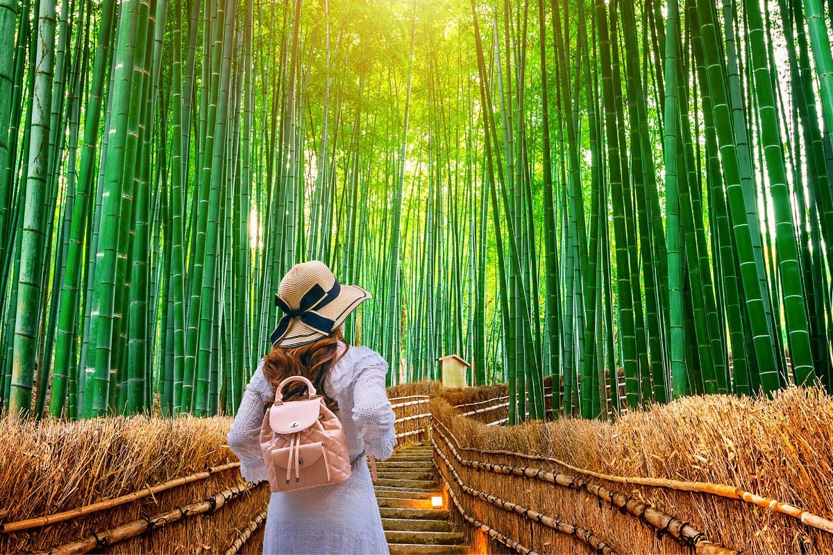 Arashiyama Bamboo Forest, Kyoto