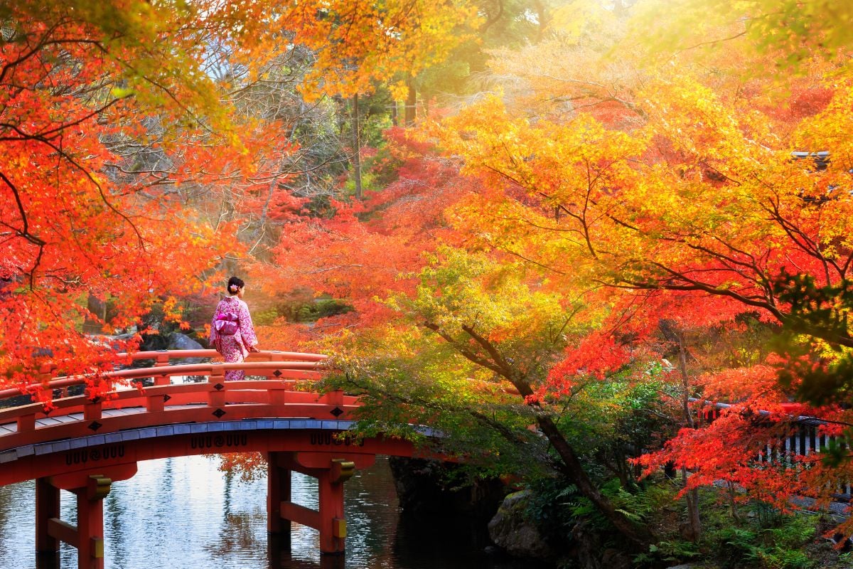 Autumn Leaves in Kyoto