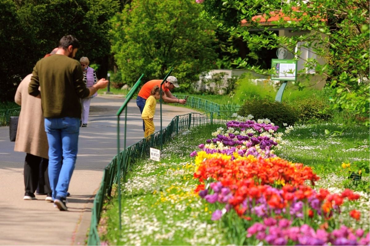 Bucharest Botanical Garden, Romania