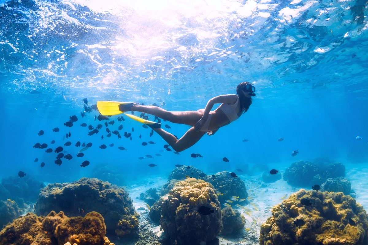 Francisco I. Madero Reef, Playa del Carmen