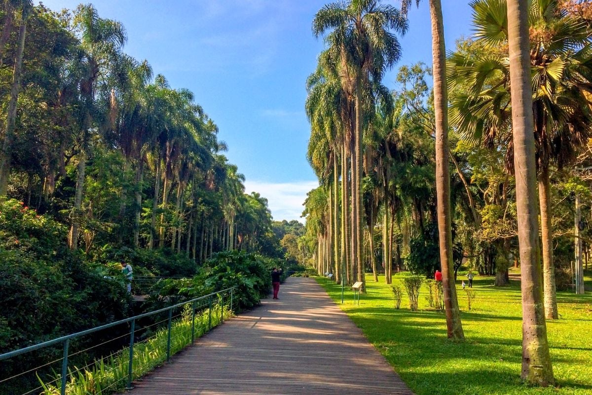 Jardim Botânico de São Paulo, Brazil