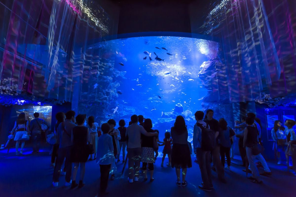 Kyoto Aquarium, Japan