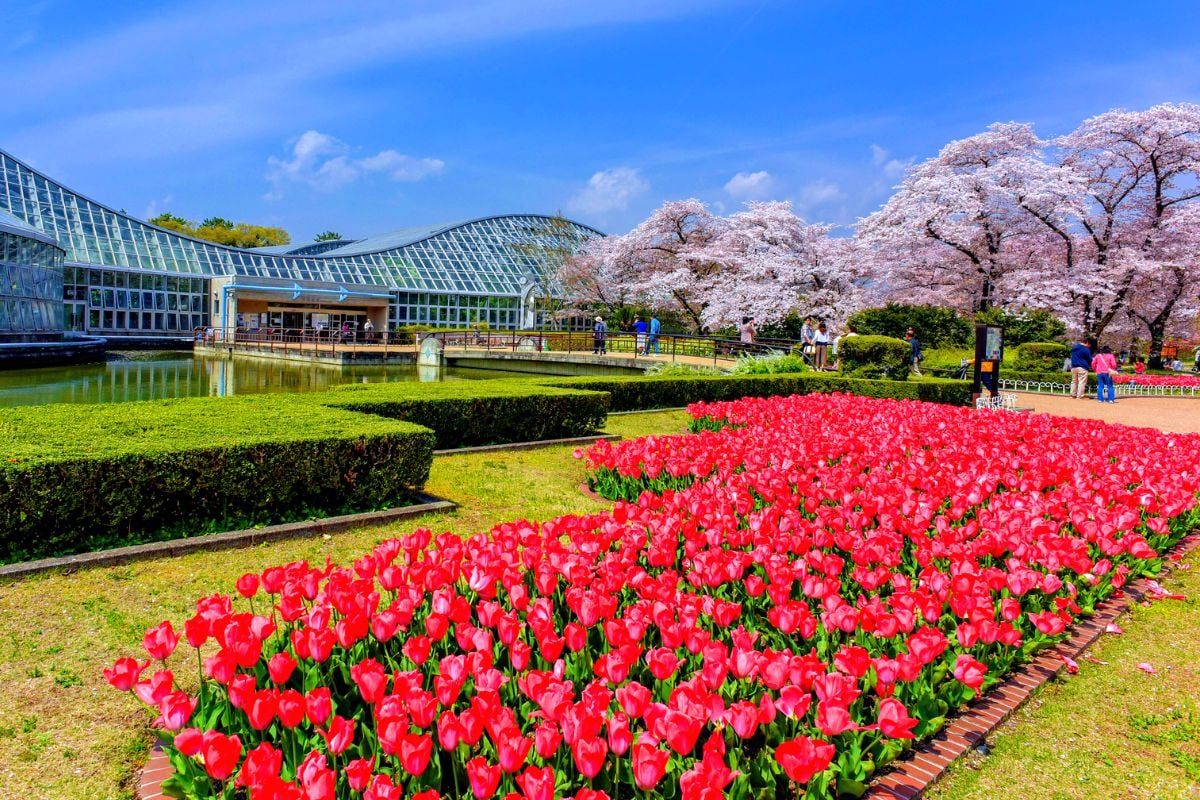 Kyoto Botanical Garden, Japan