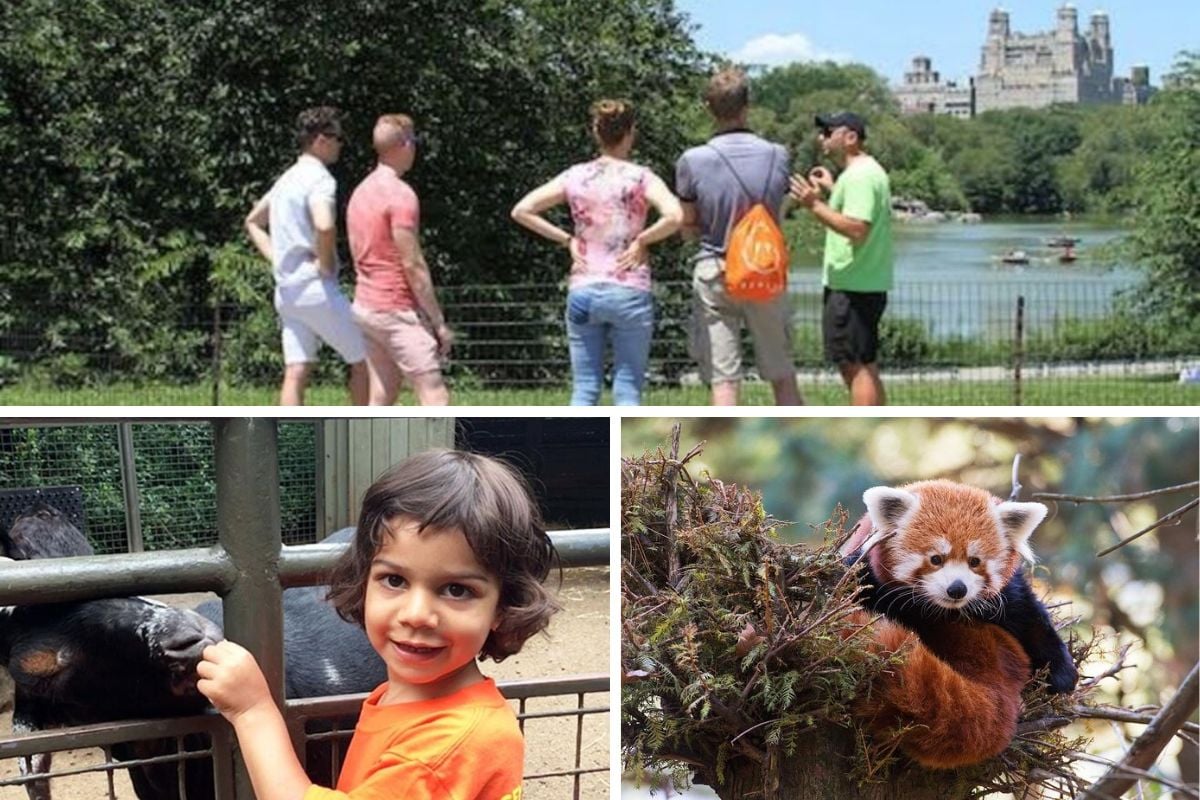 New York City with kids - Central Park Zoo