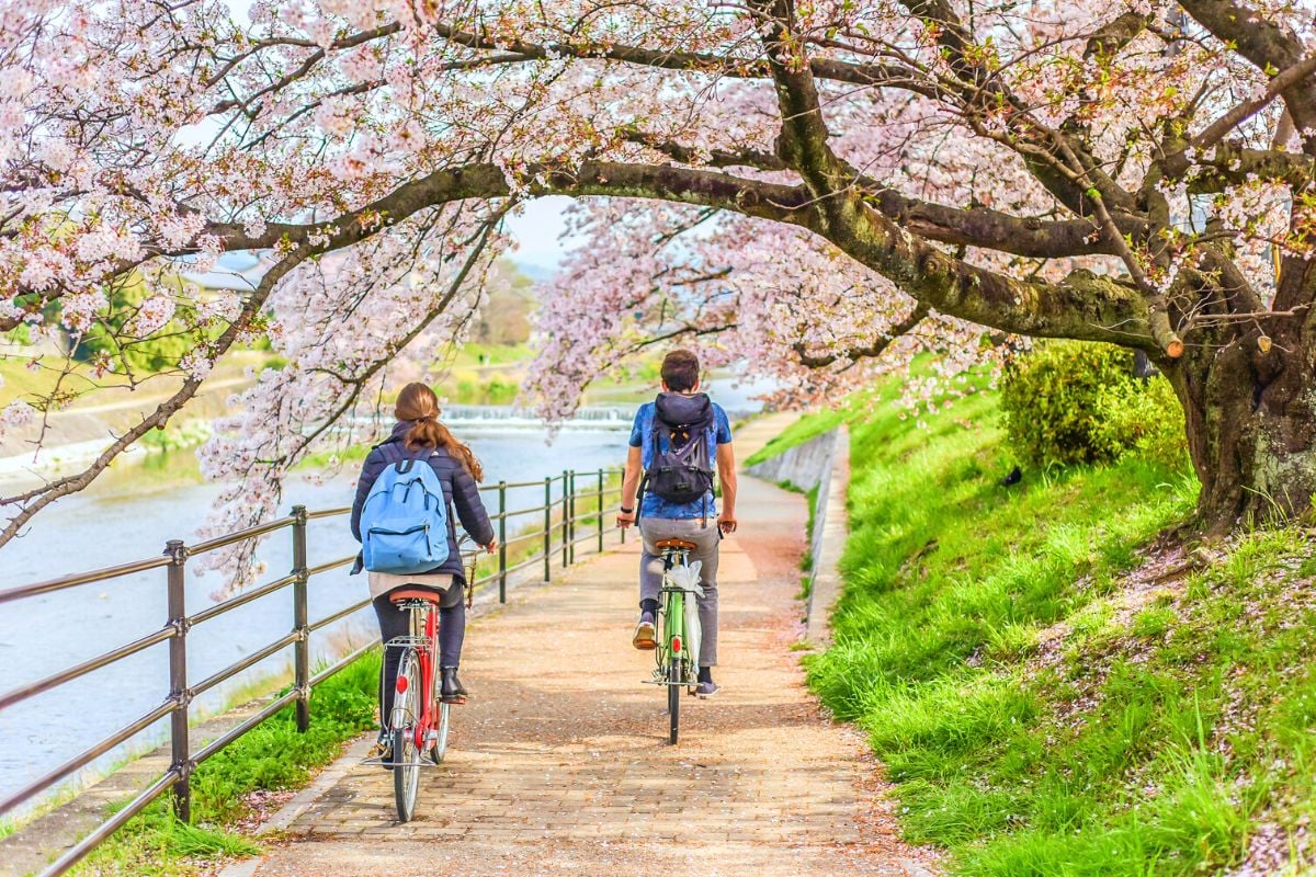 bike tours in Kyoto