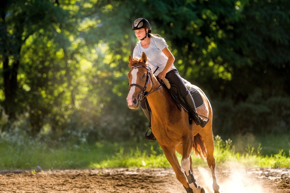 horse riding near Cancun