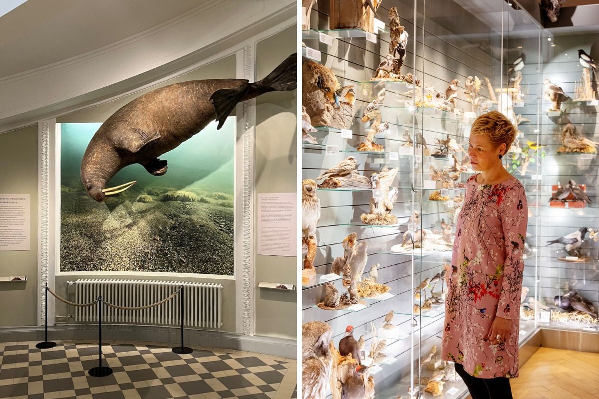 Finnish Museum of Natural History, Helsinki