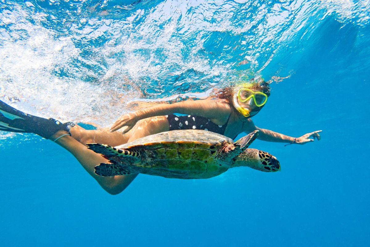 25 Best Snorkeling Spots in Oahu, Hawaii (with Map) TourScanner