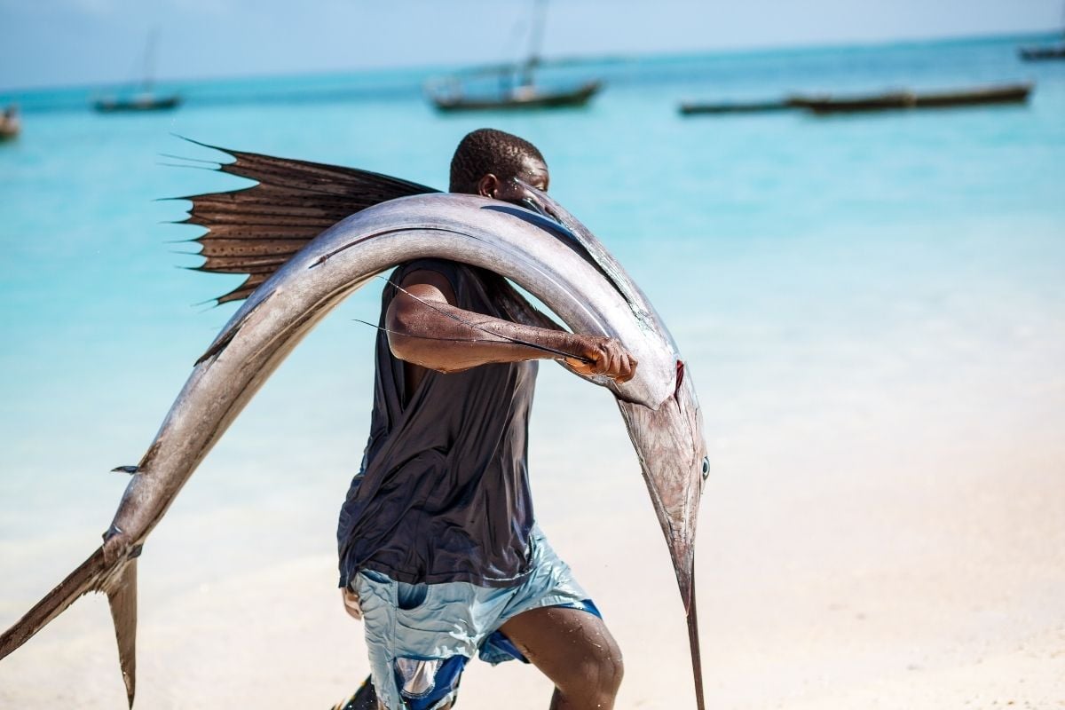 fisherman in Zanzibar