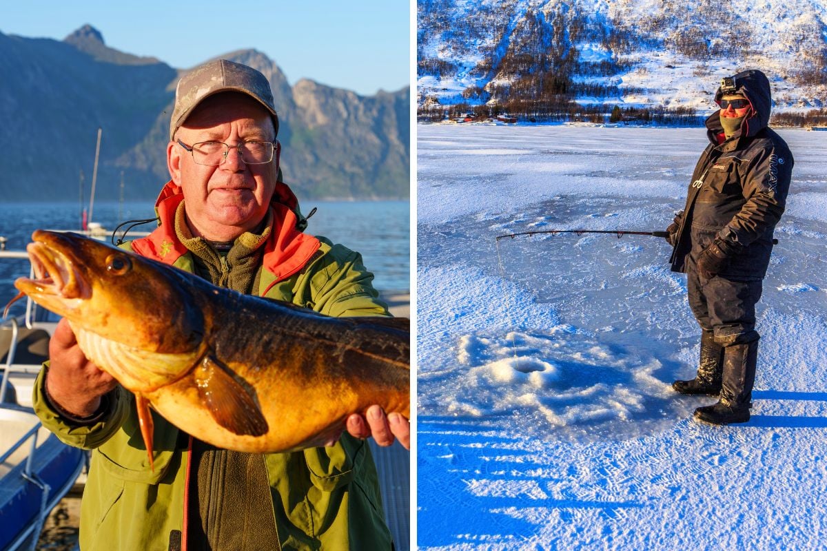 fishing tours in Tromso