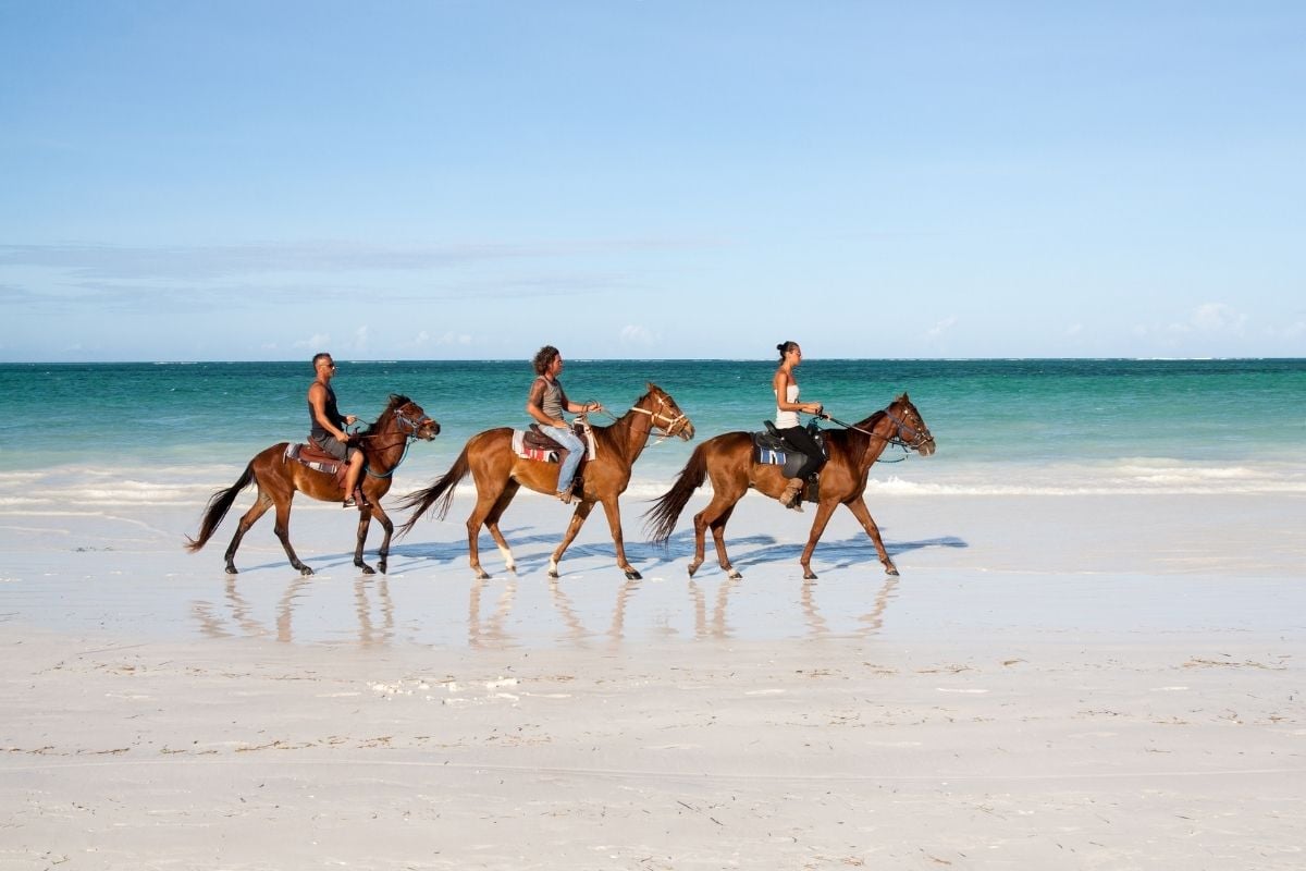 horse ride in Zanzibar