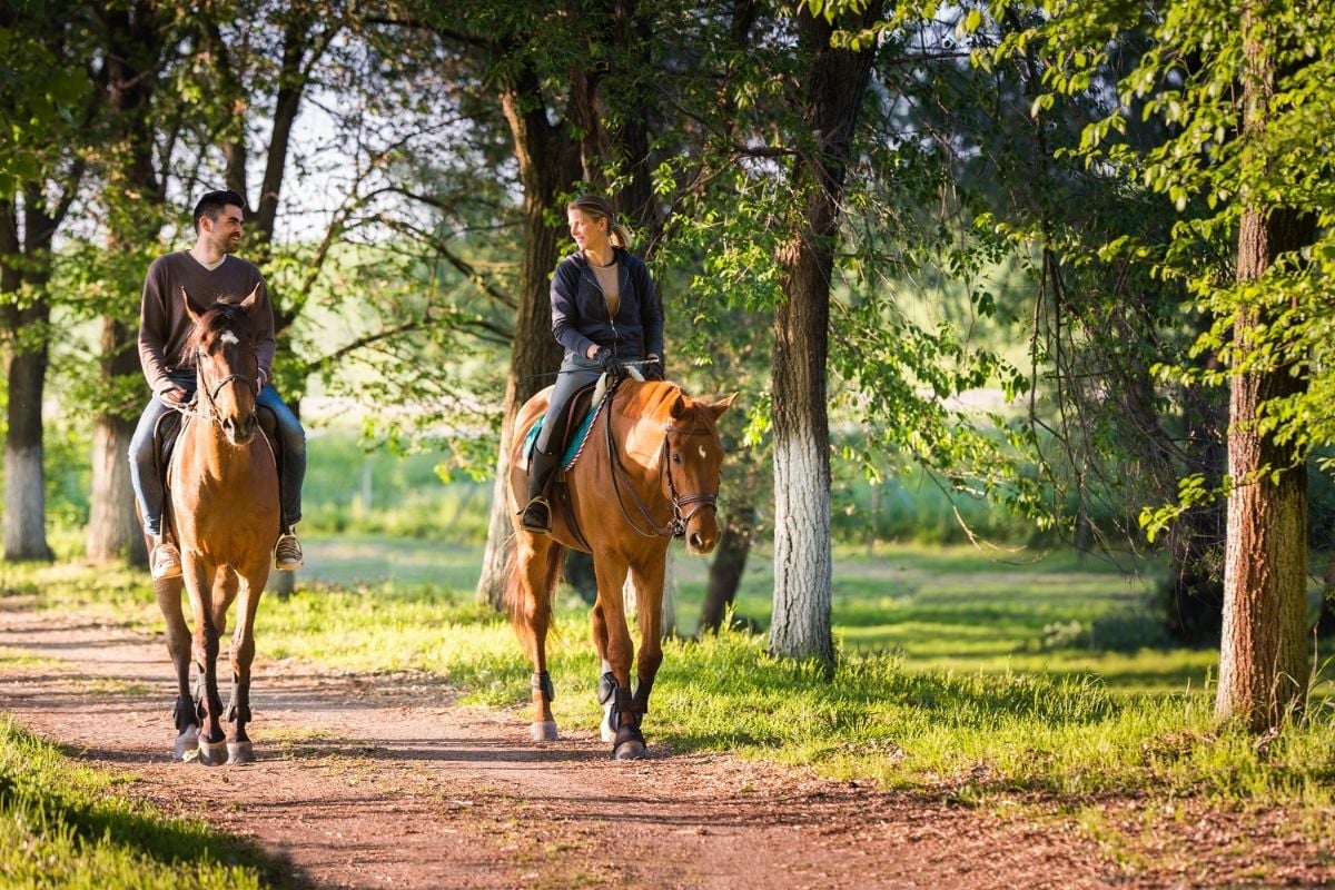 horse riding excursion from Montevideo