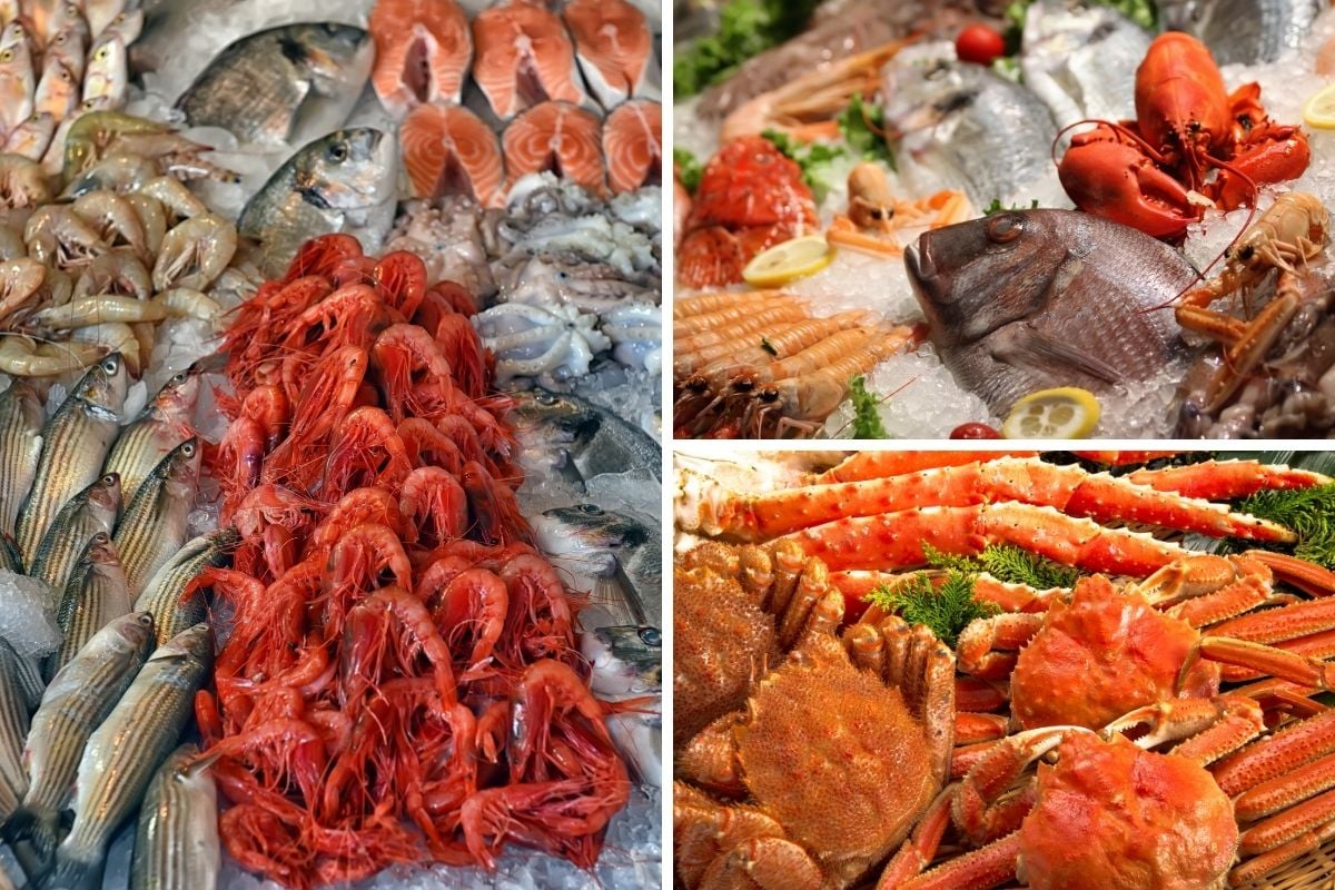 50 Fun & Unusual Things to Do in Gulf Shores, Alabama TourScanner