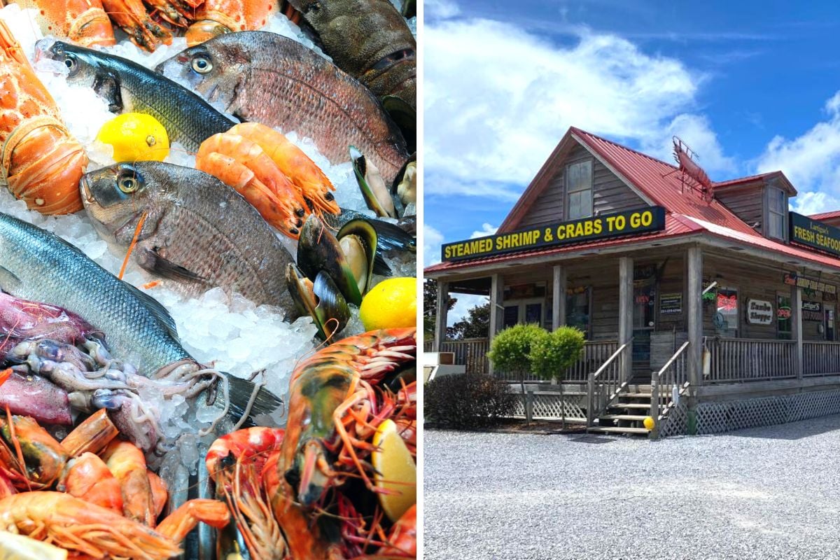 56 Fun & Unusual Things to Do in Orange Beach, Alabama TourScanner