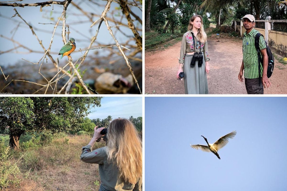 bird watching in Goa