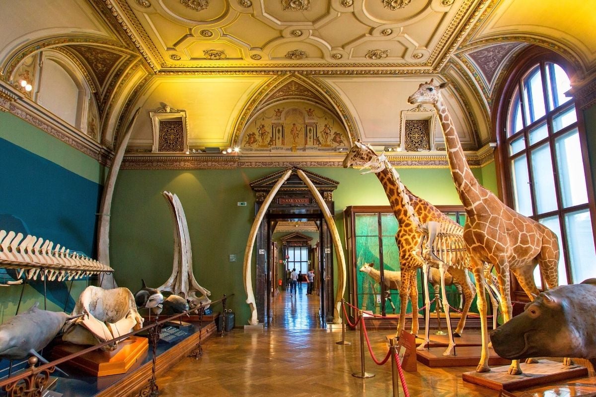 Natural History Museum, Vienna, Austria