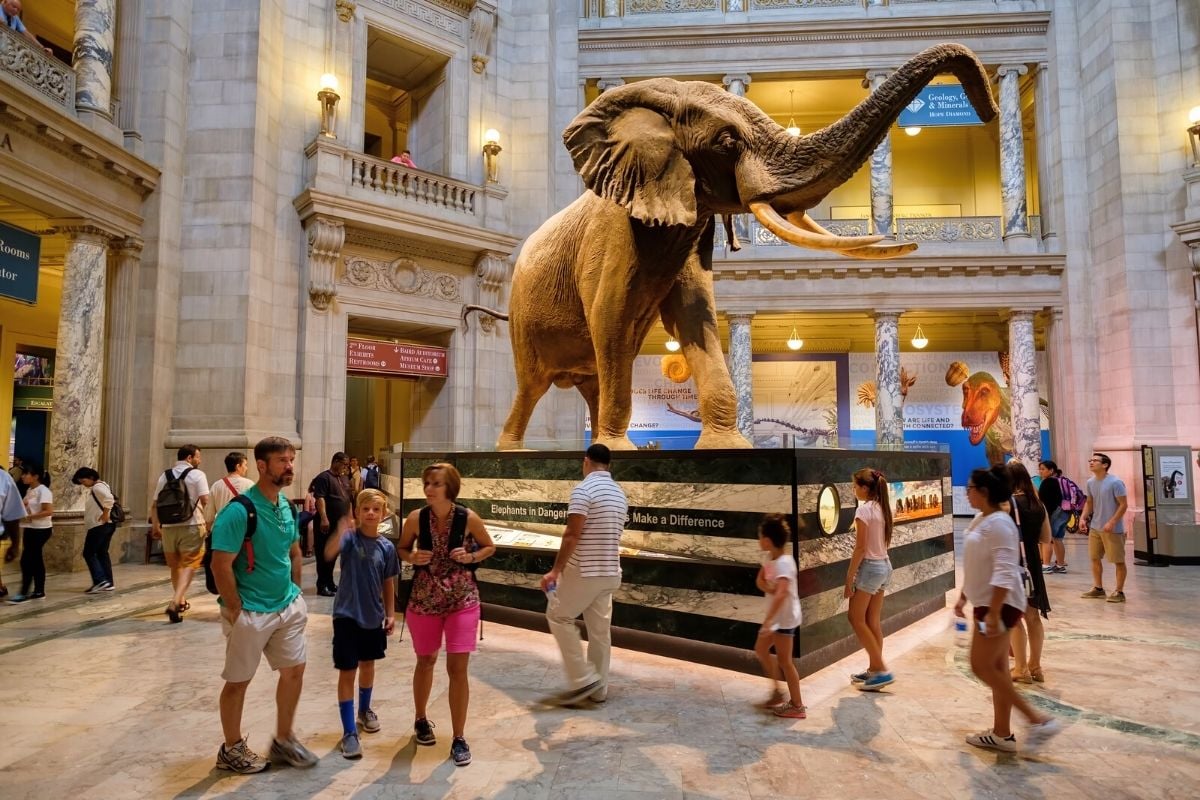 Smithsonian National Museum of Natural History, Washington DC, USA