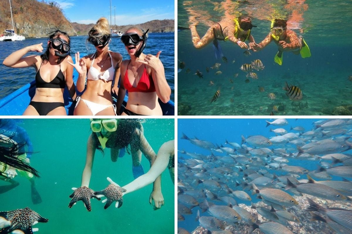 snorkeling tour in Tamarindo