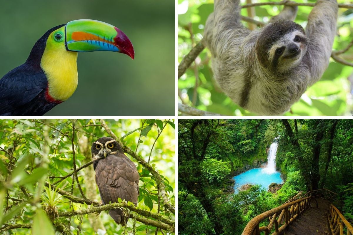 wildlife rescue center in San Jose, Costa Rica