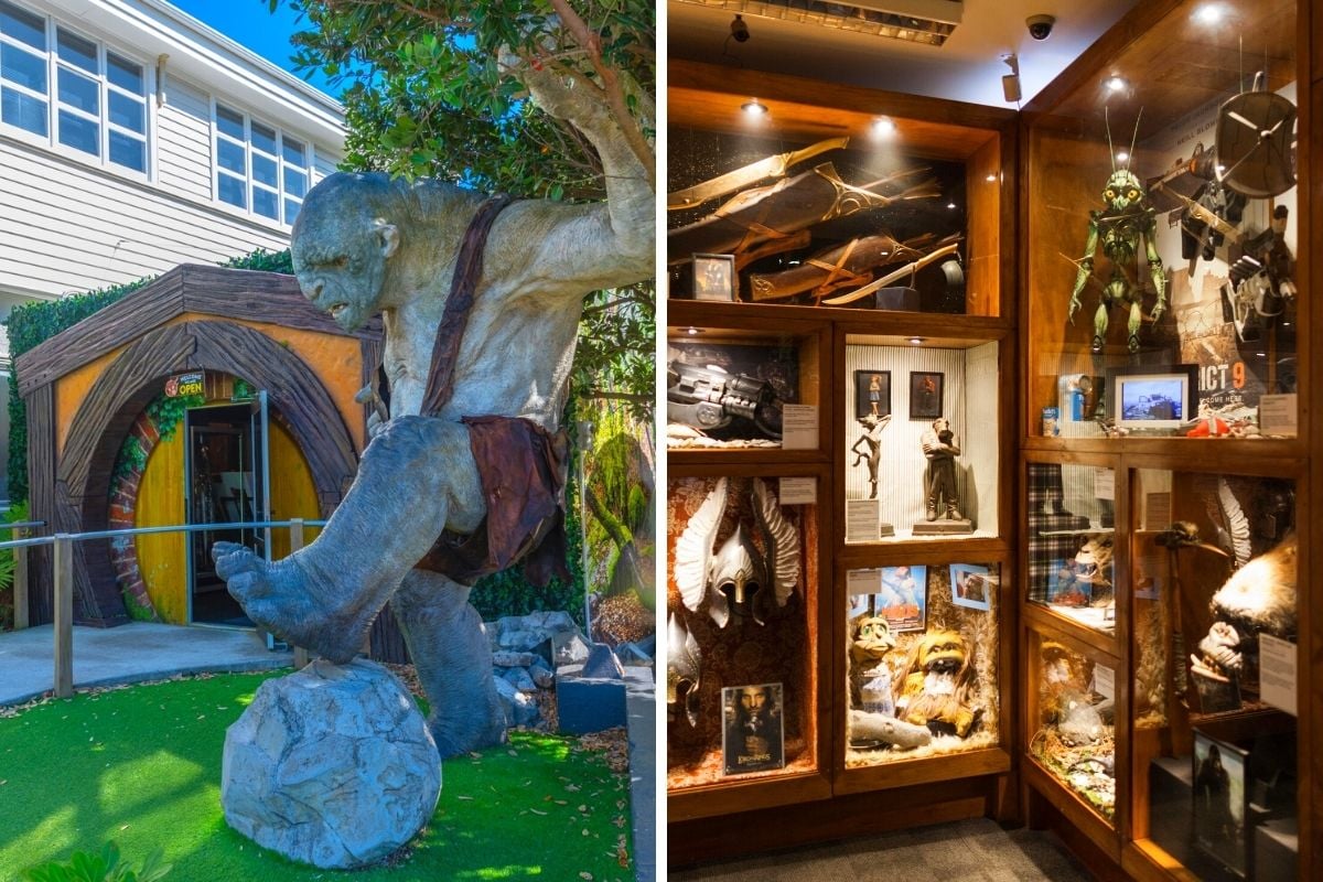 59 Fun & Unusual Things to Do in Wellington, New Zealand TourScanner