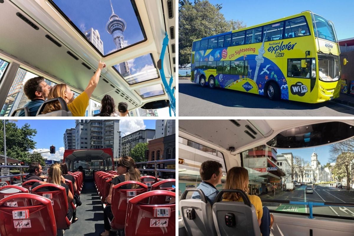 bus tour in Auckland