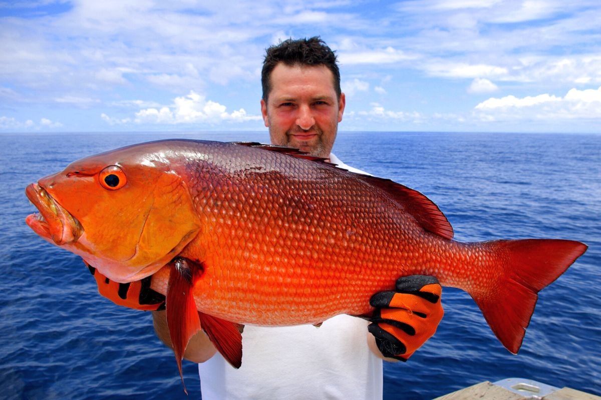 fishing tours in Quepos
