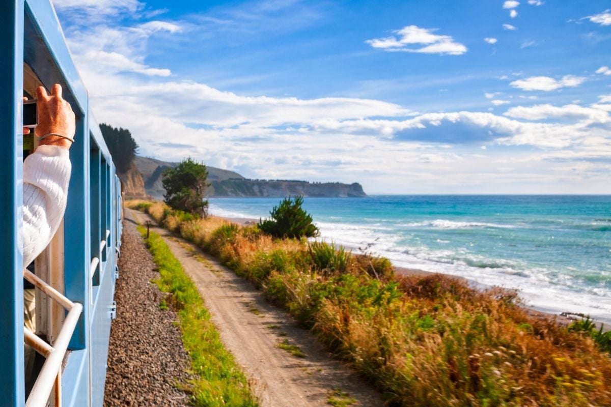 Coastal Pacific Train, Picton