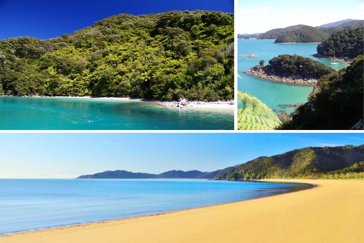 Kayaking tours from Kaiteriteri Beach Abel Tasman National Park