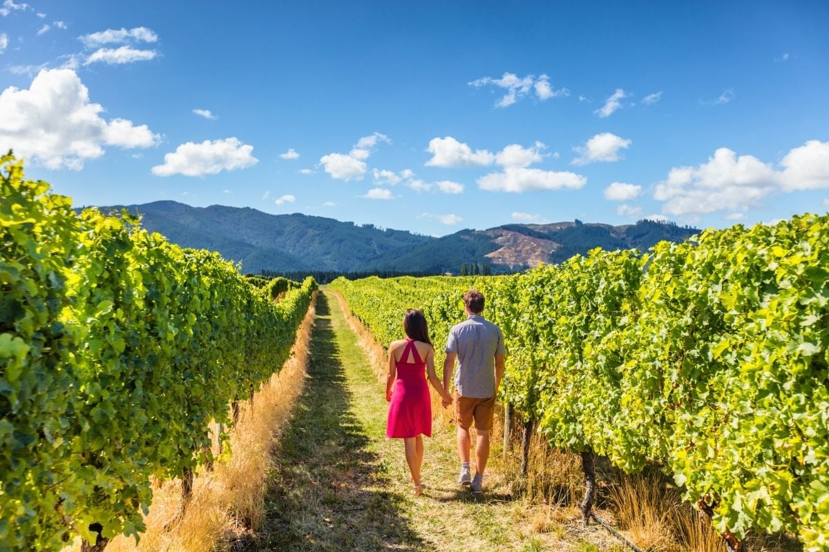 Marlborough, New Zealand