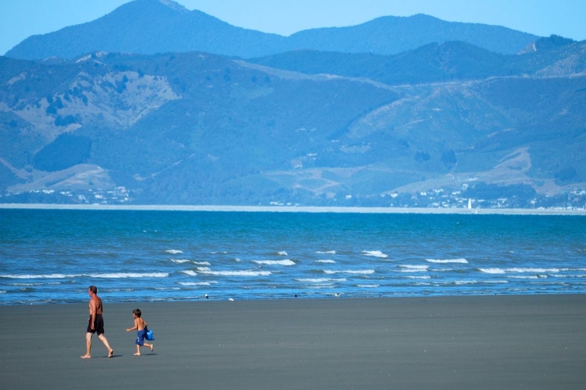 Moturoa - Rabbit Island, New Zealand