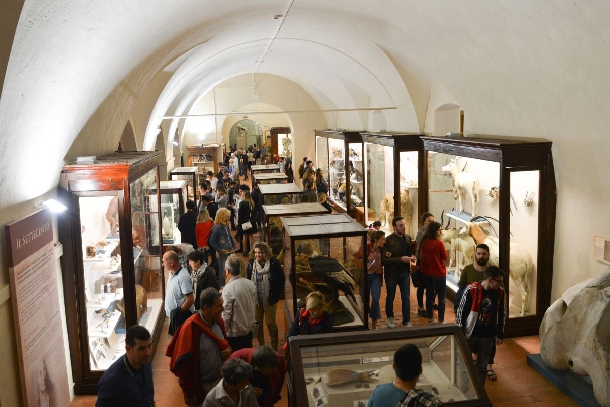 Naturkundemuseum der Universität Pisa
