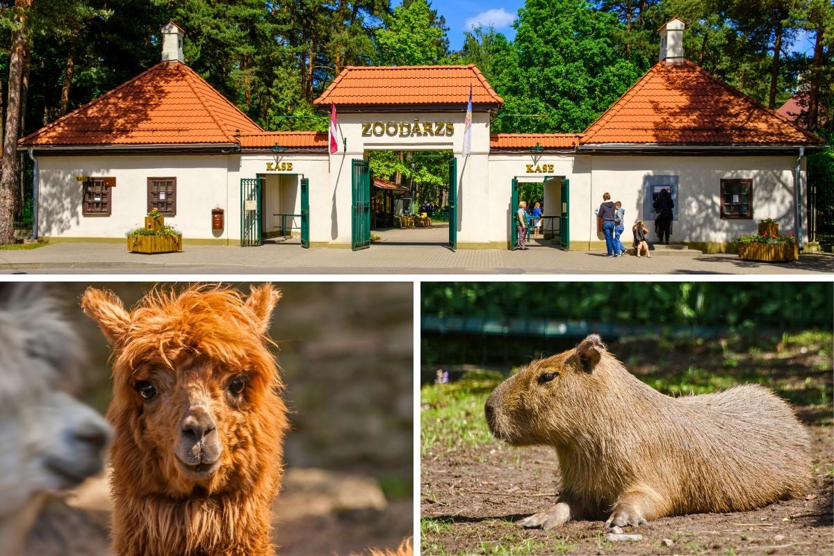 Riga Zoo, Latvia