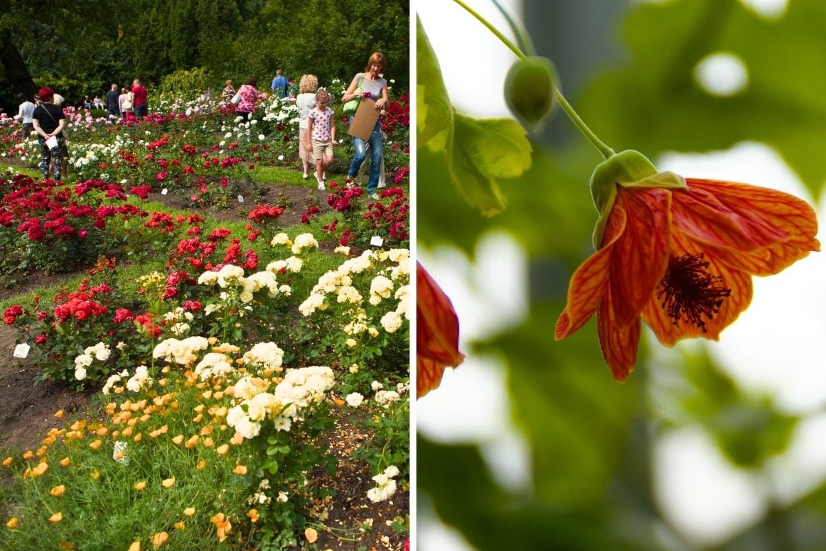 University of Latvia Botanical Garden, Riga