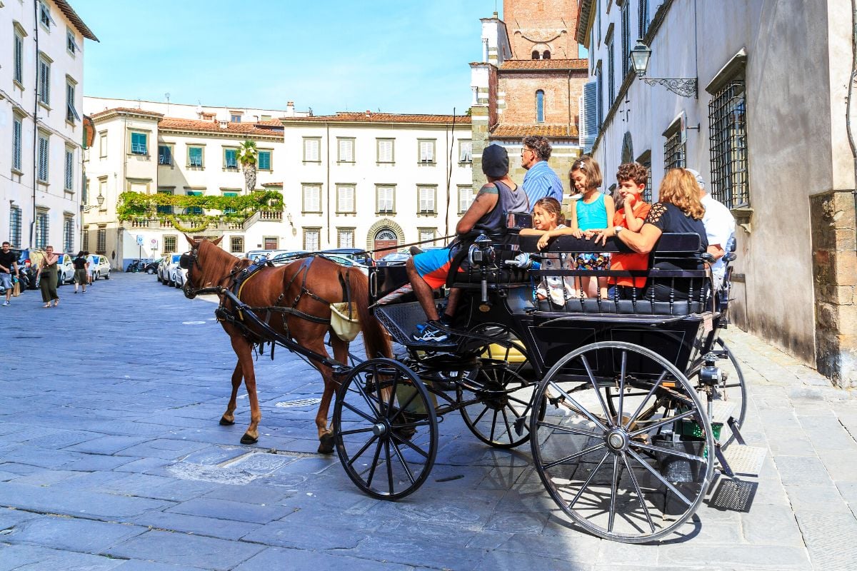 Kutschenfahrten in Lucca