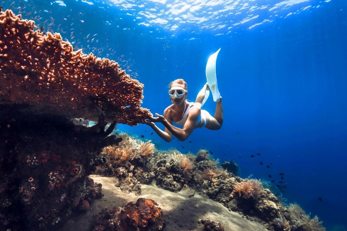 freediving in Cinque Terre