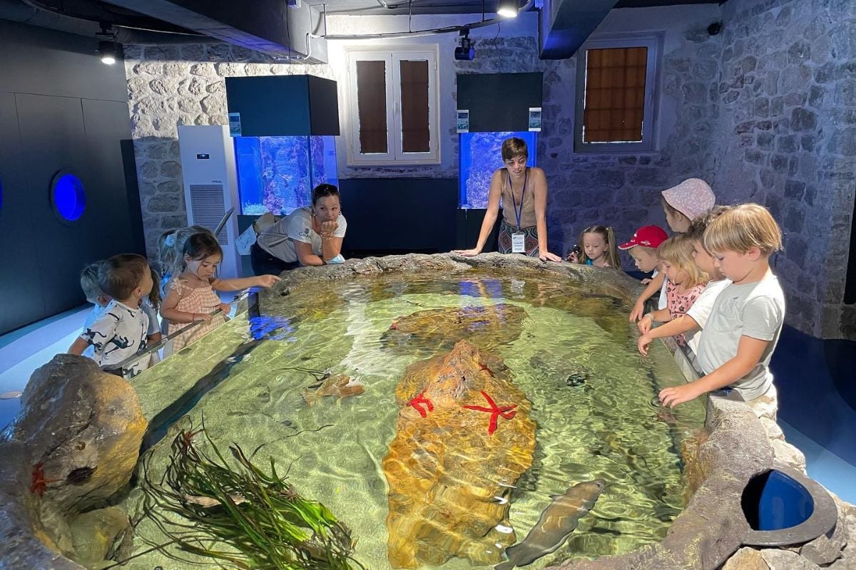 Aquarium Boka in Kotor