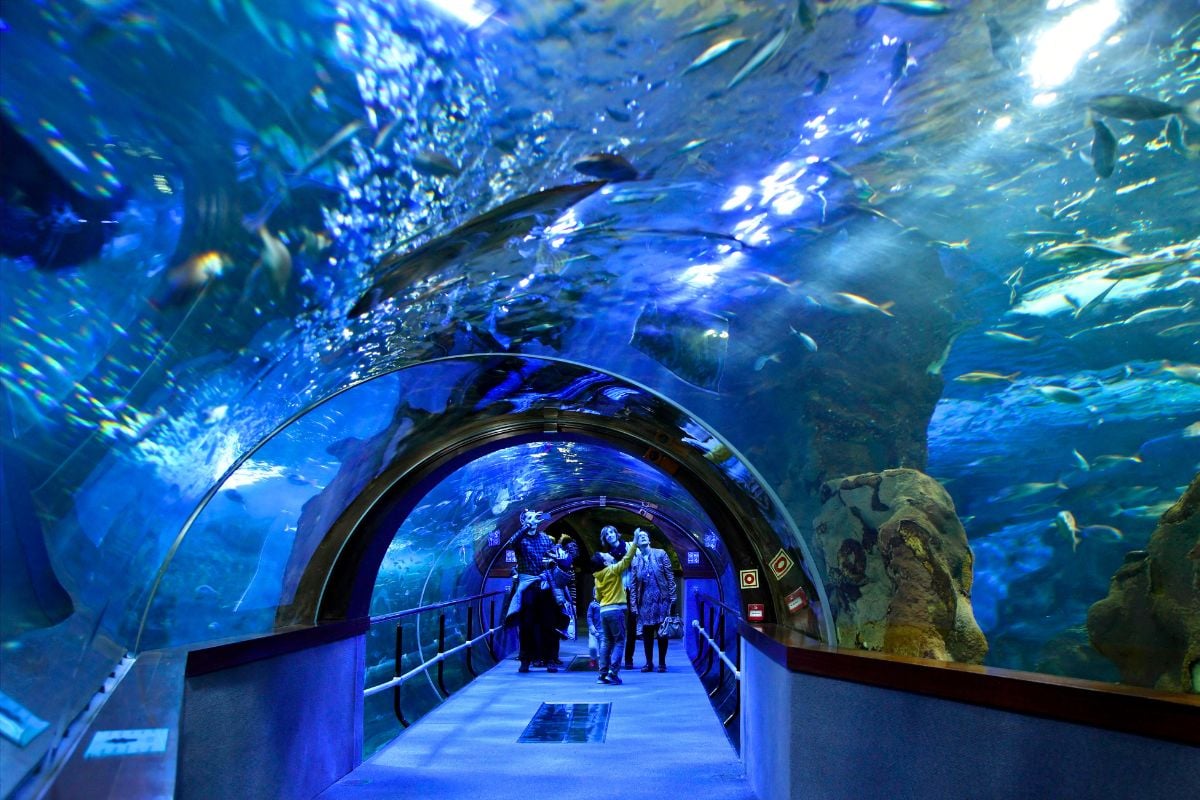 Aquarium, San Sebastian