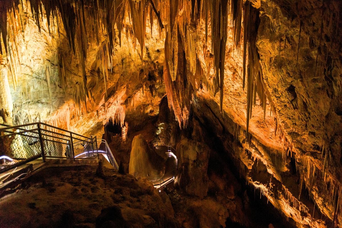 Hastings Caves and Thermal Springs, Tasmania