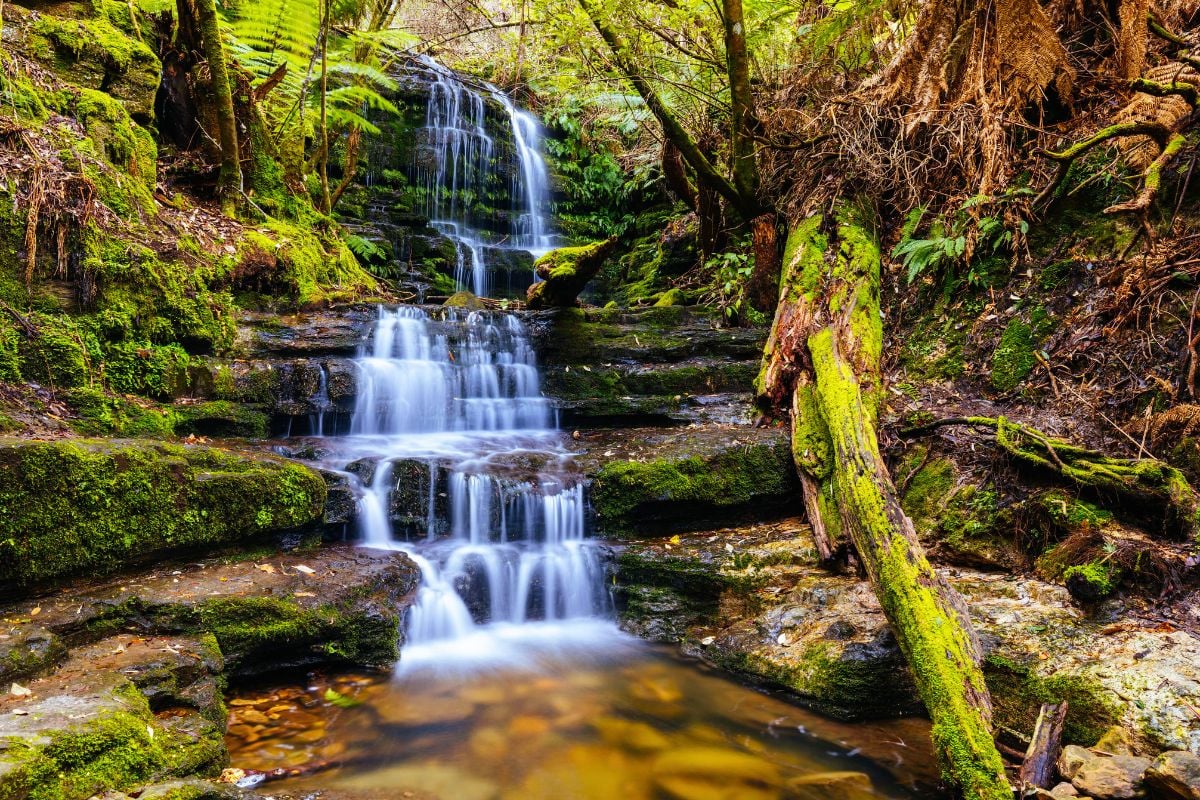 Hobart's Waterfalls