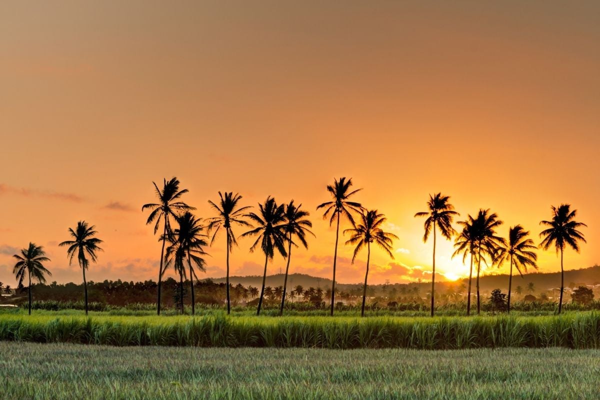 La Reunion Island, France