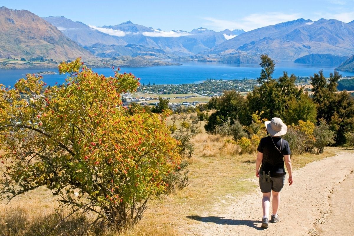 Mount Iron Track, New Zealand