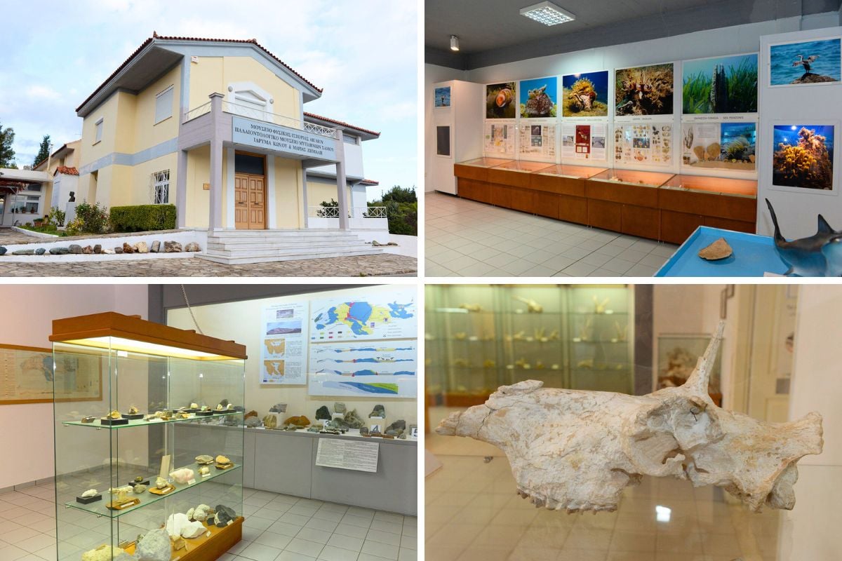 Museum der Naturgeschichte der Agais, Samos 