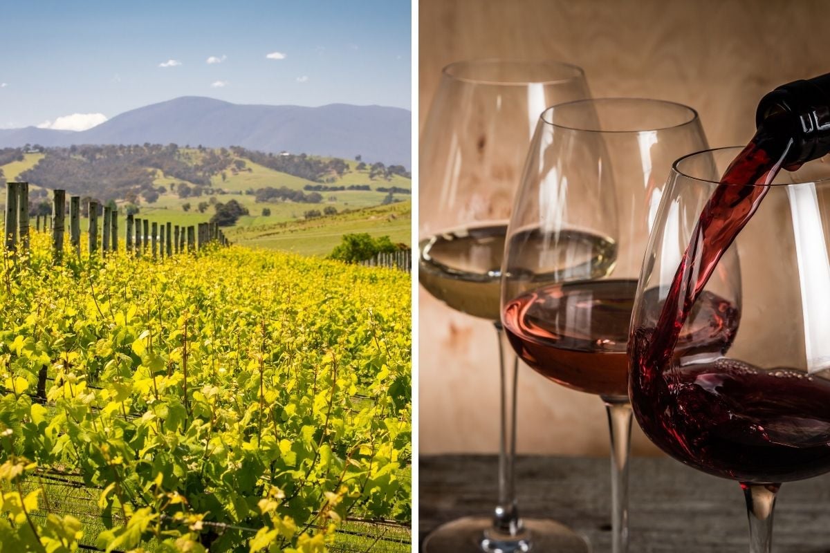 Yarra Valley wine tours in Melbourne