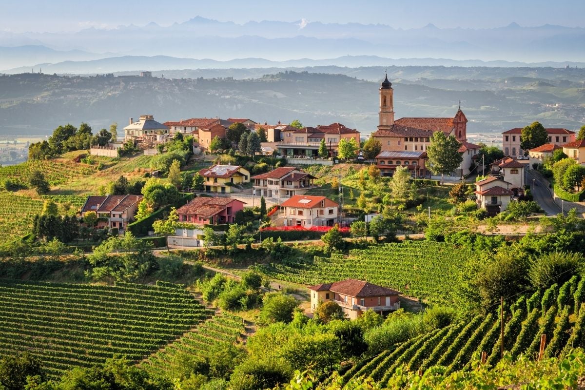 wine tour in Turin