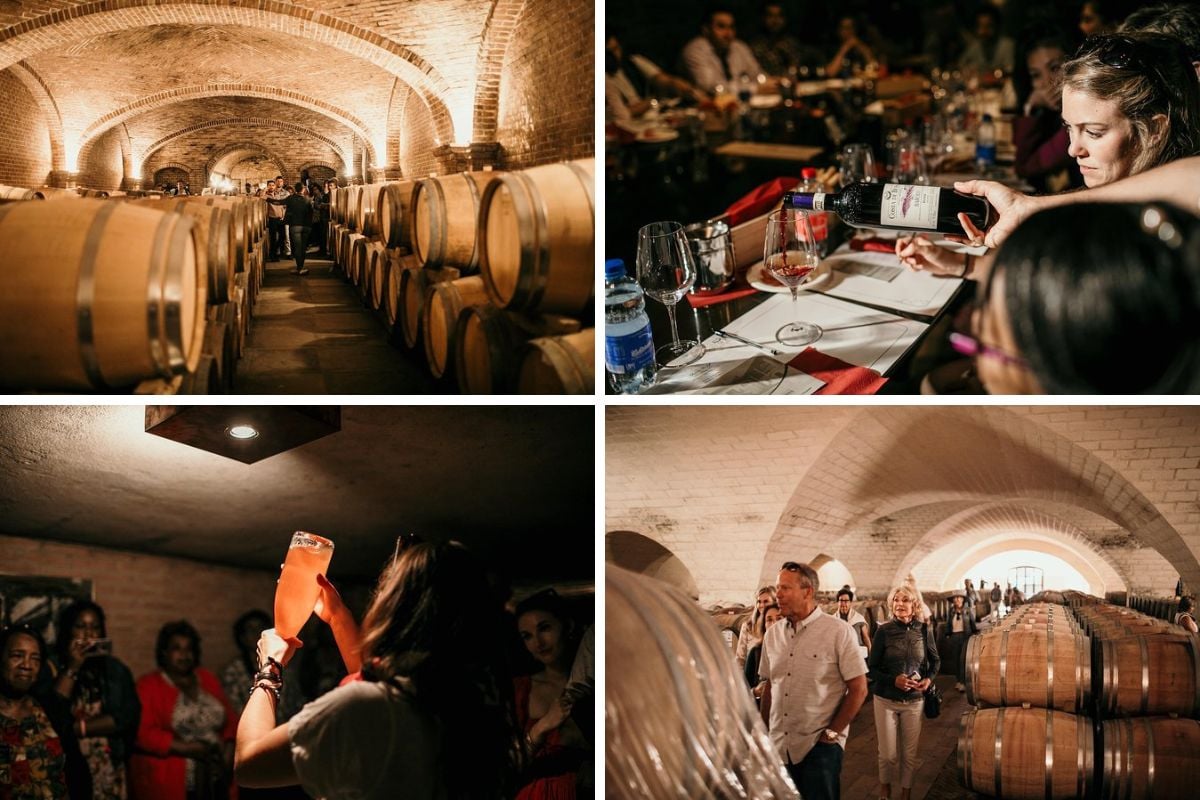 wine tours in Turin