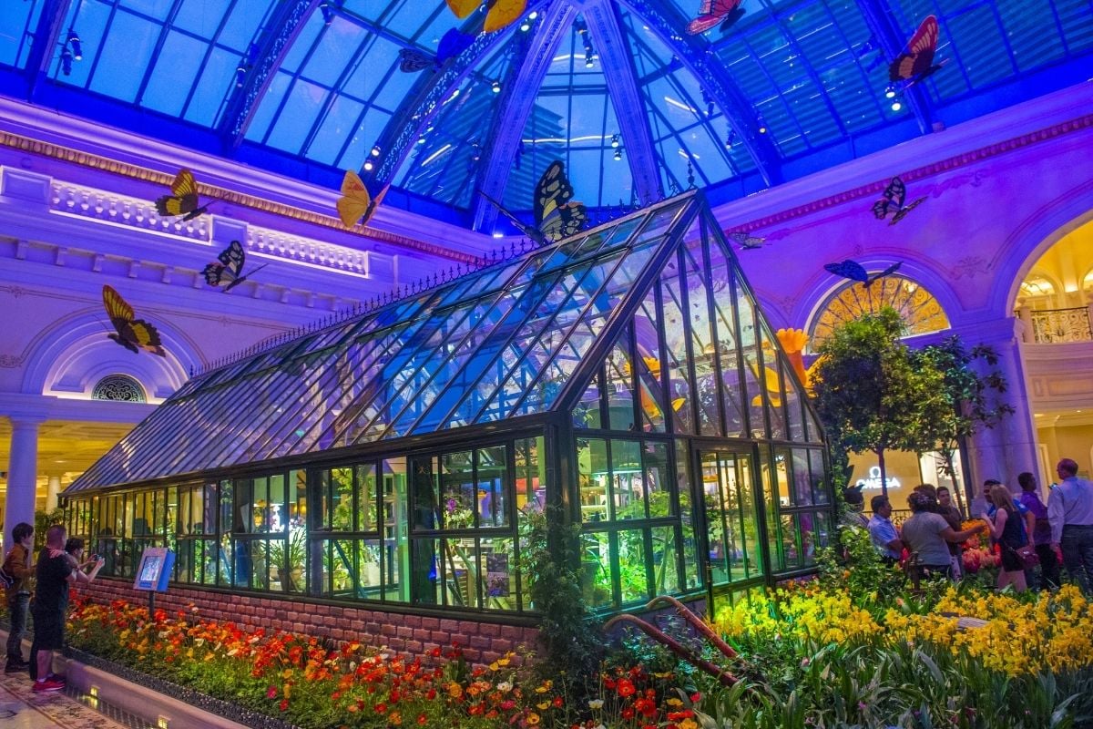 Bellagio Conservatory & Botanical Gardens, Las Vegas