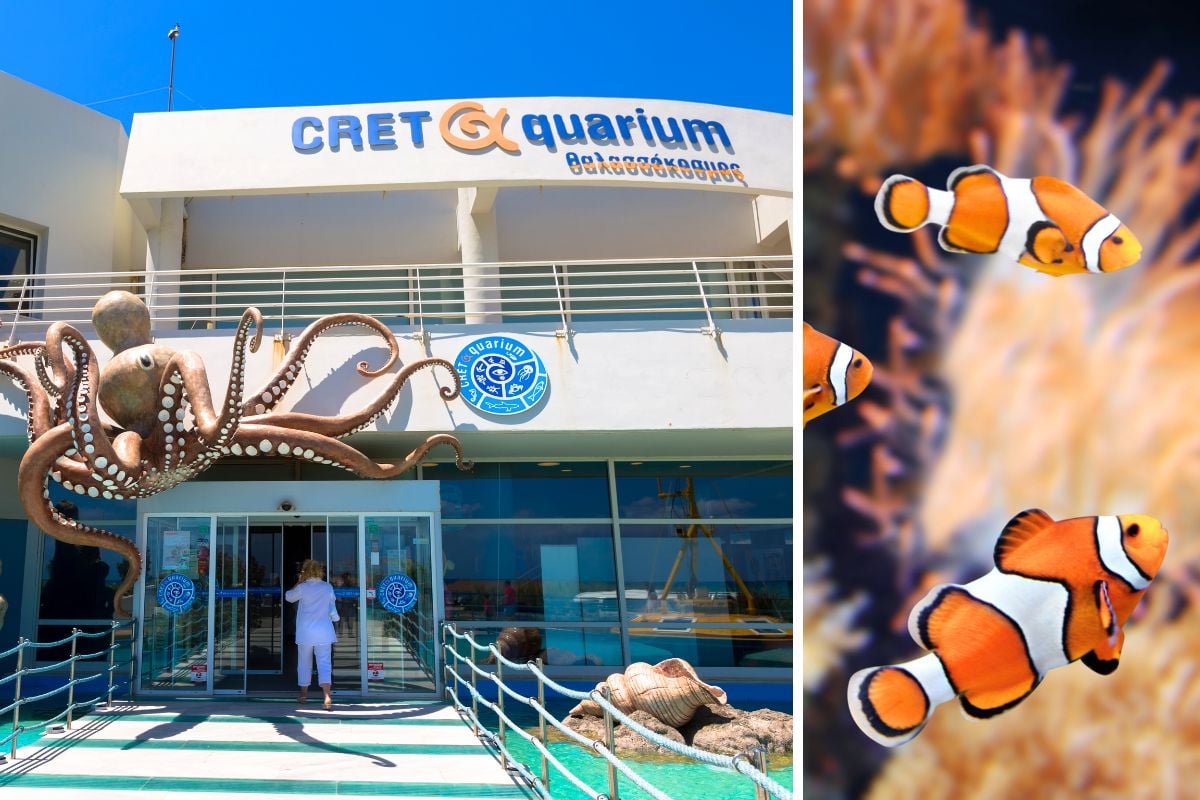 CretAquarium, Heraklion