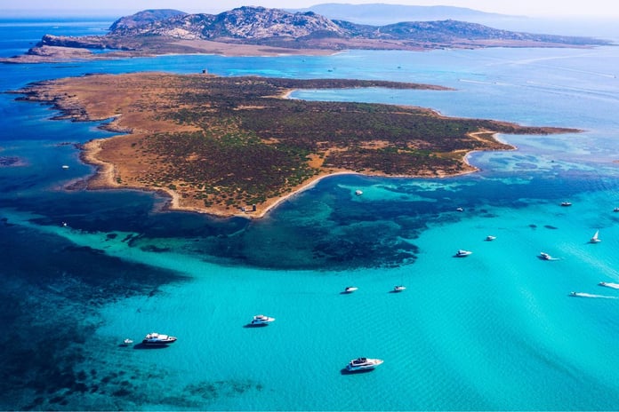 Escursioni Asinara - Guida completa