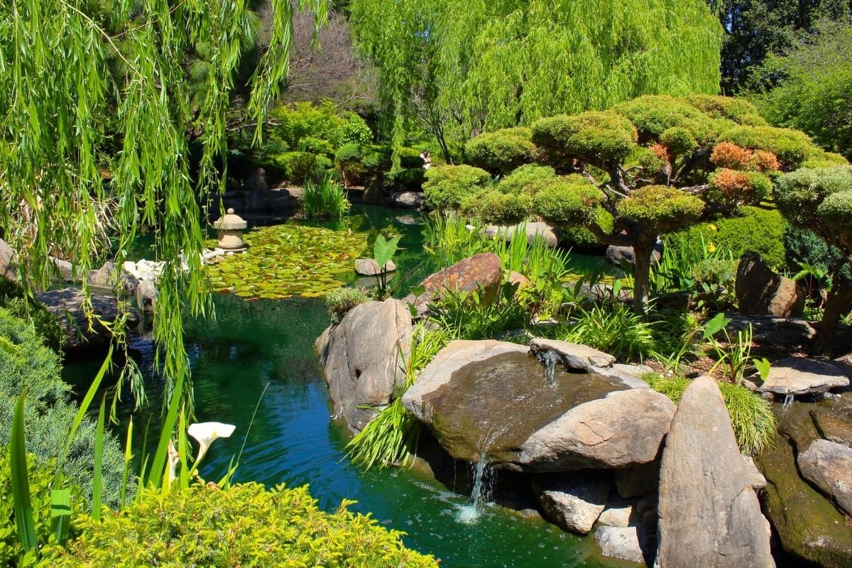 Himeji Garden, Adelaide