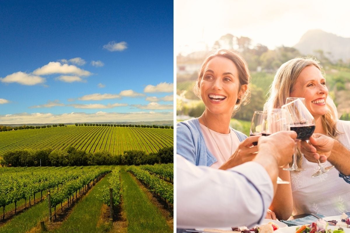 McLaren Vale tour from Adelaide